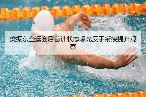 樊振东全运会后首训状态曝光反手衔接提升观察